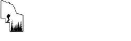 ICORE-logo-wht-80